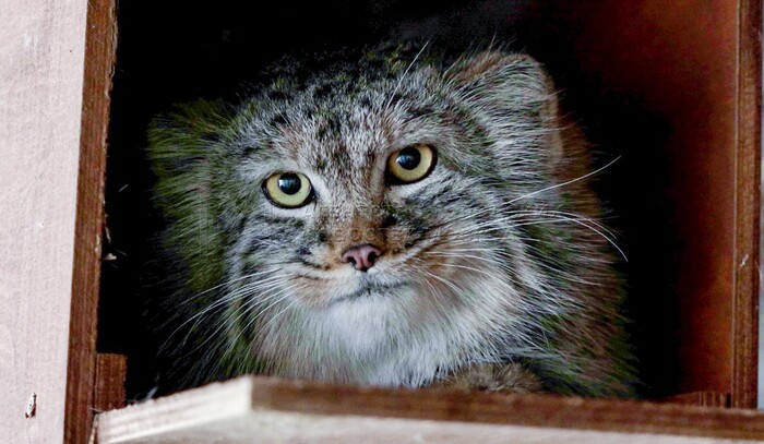 ������ ��