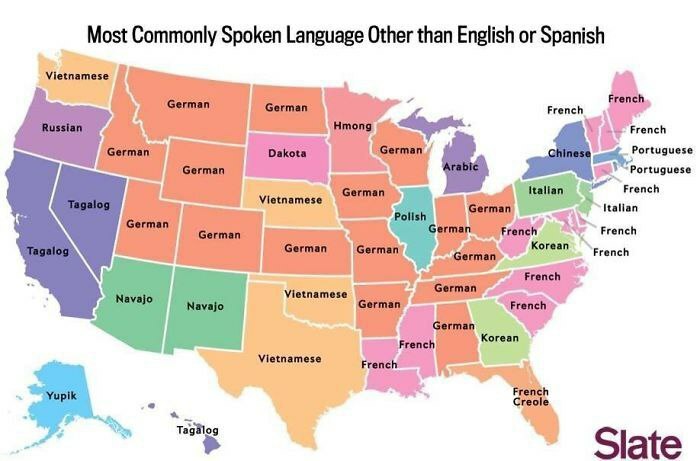 Most Commonly Spoken Language In The USA After English And Spanish - Crossposting, Pikabu publish bot, USA, Cards, State, Infographics