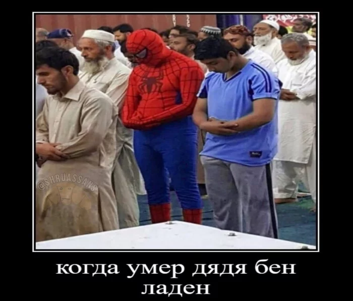 It's a pity - Spiderman, Black humor, Arabs, Demotivator