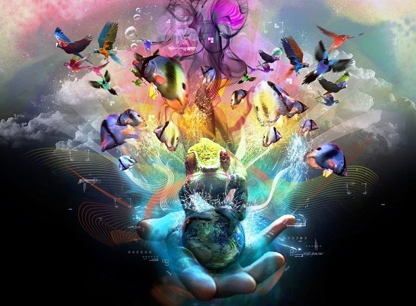 ��� ������� �����������