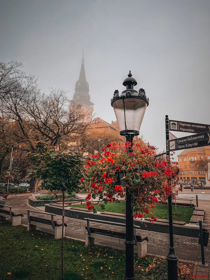 Square in front of City Hall on a foggy morning - My, Square, Town hall, Lamp, Flowers, Morning, Fog, Clock, Town, Subotica, Serbia, The photo, Mobile photography