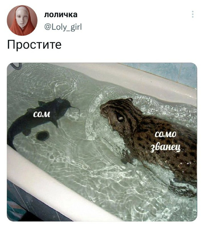  ,   , 