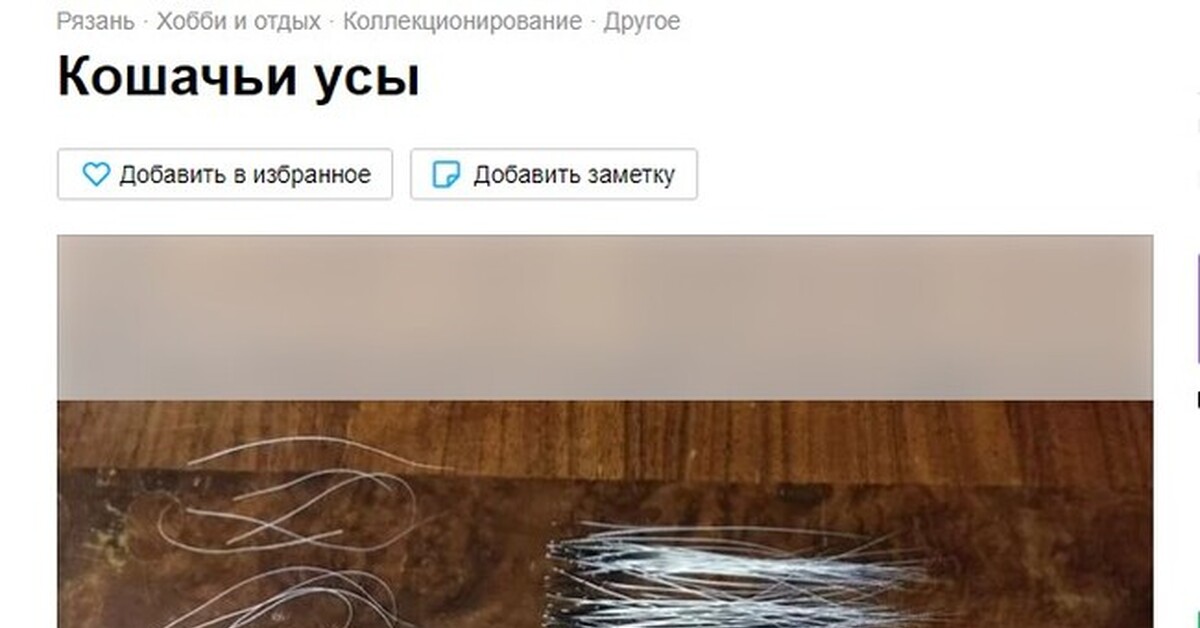 Найти кошачий ус примета. Усы кота авито. Кошачьи усы для чего продают. Продам усы кота авито. Косплей кошачьи усы