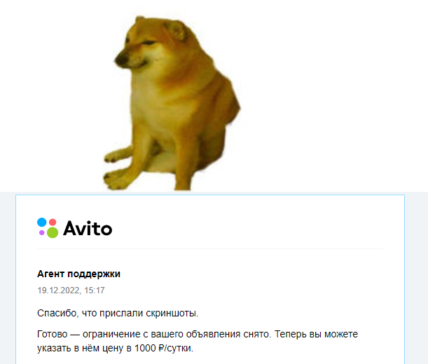 Avito. Now I set the price! - My, Avito, Support service, Announcement on avito, Picture with text