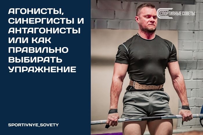 Агонисты, синергисты и антагонисты Или как правильно выбирать упражнение
