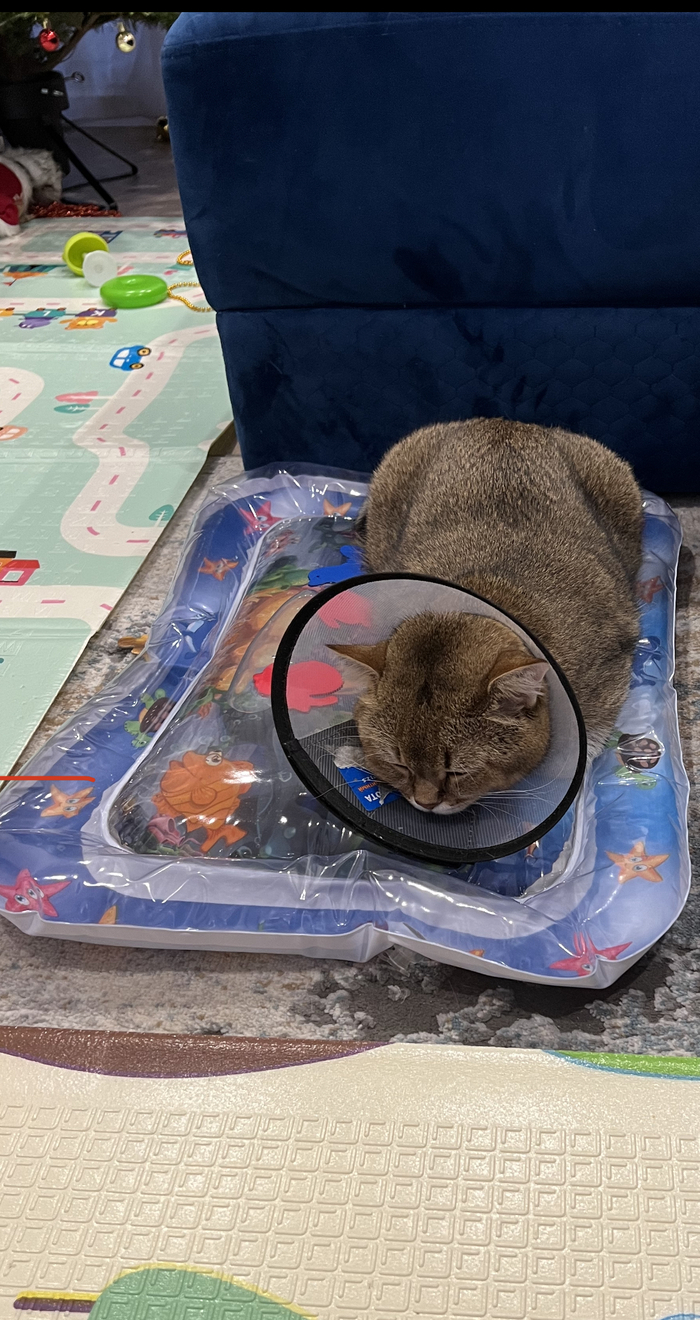 Обиделся походу