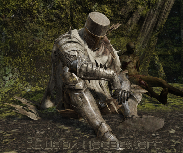 Рыцари несвежего