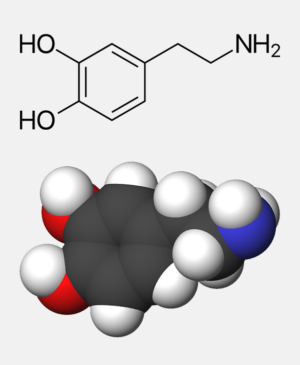 Дофамин гормон. Дофамин структурная формула. Дофамин химическая структура. Дофамин строение. Формула дофамина химия.