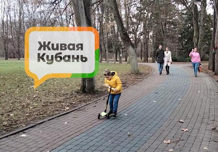 Krasnodar residents told how they will celebrate the New Year - Holidays, Christmas tree, Krasnodar