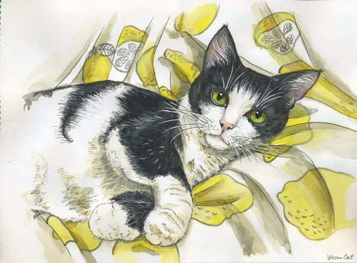 cat in lemons - My, cat, Drawing, Creation, Watercolor, Painting