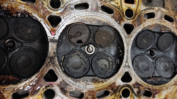    2 Ford Focus,  , , ,  , , 