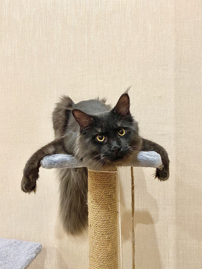     , -, ,   , 