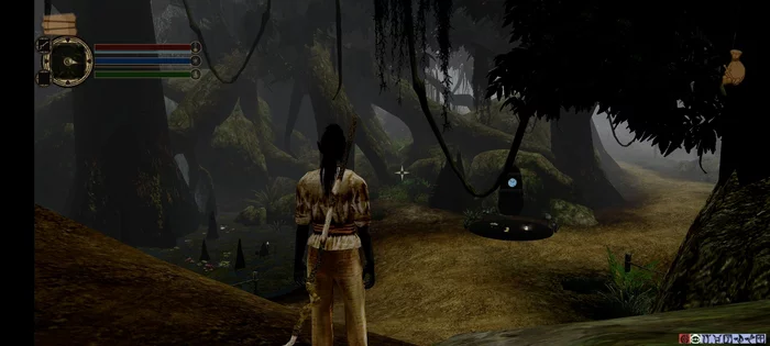 Morrowind on Android, release date (huge builds for 8+, 6+, 3/4+, 2+ gigabytes of RAM) and graphics comparison - My, The Elder Scrolls III: Morrowind, The elder scrolls, Android, Fashion, Computer games, Mobile games, Role-playing games, Openmw, Computer graphics, Longpost