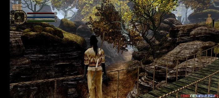 Morrowind on Android, release date (huge builds for 8+, 6+, 3/4+, 2+ gigabytes of RAM) and graphics comparison - My, The Elder Scrolls III: Morrowind, The elder scrolls, Android, Fashion, Computer games, Mobile games, Role-playing games, Openmw, Computer graphics, Longpost