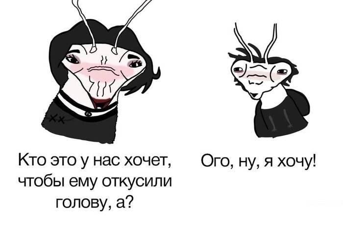 ��� �����?