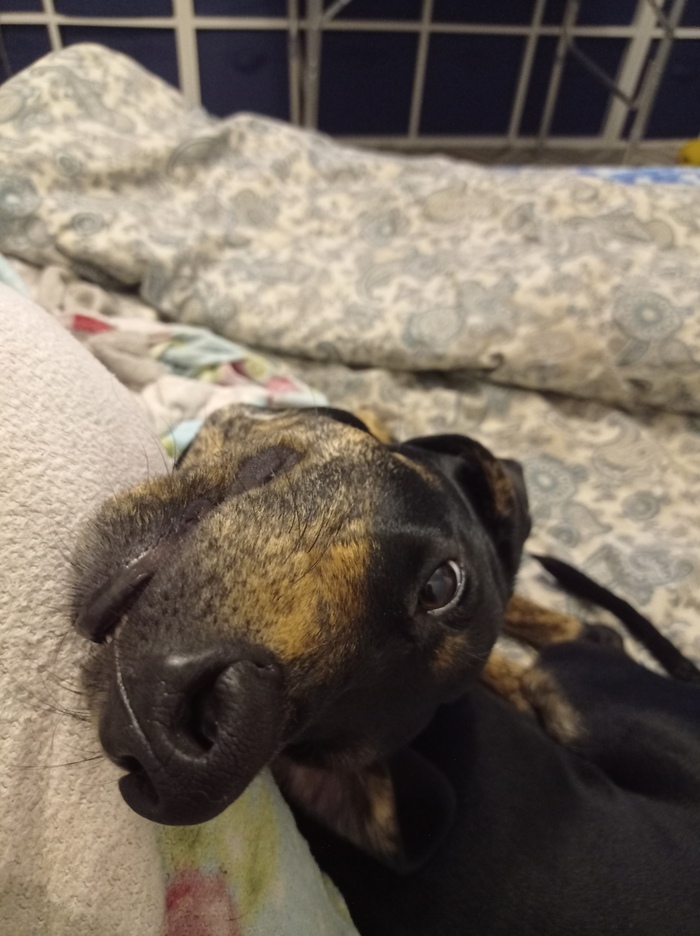 ����� �� ���� ���������