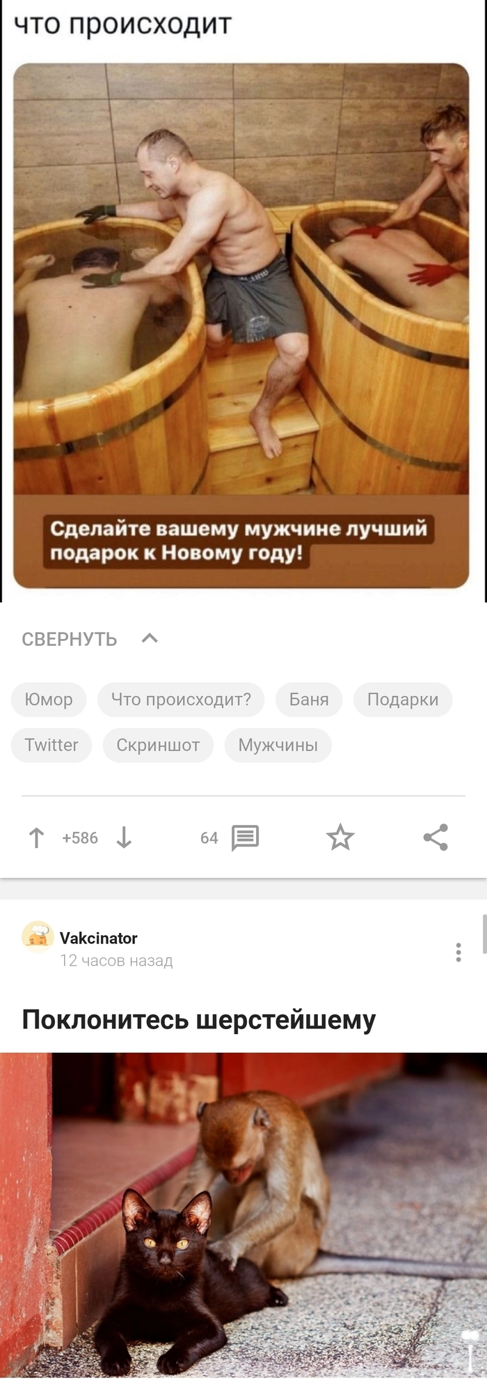     , , ,  