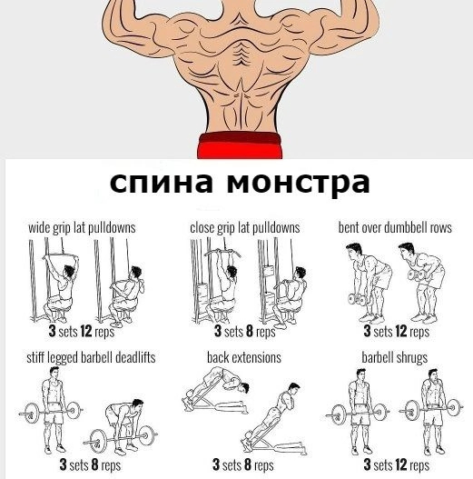 Подборка упражнений для различных групп мышц - Спорт, Фитнес, Упражнения, Длиннопост