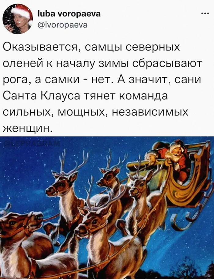 And the main name is Rudolf - Images, Screenshot, Deer, Santa Claus, Repeat