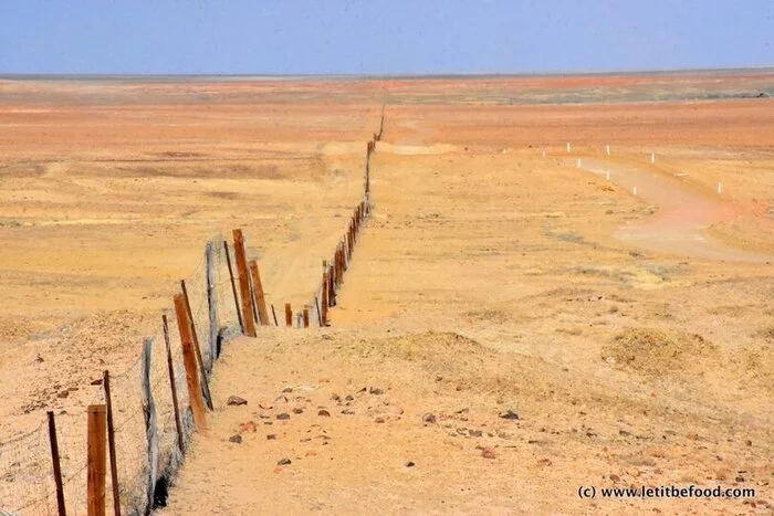 Подземный город Кубер-Педи Подземелье, Подземный город, Интересное, Длиннопост, Город Кубер-Педи, Австралия Подземный город Кубер-Педи Подземелье, Подземный город, Интересное, Длиннопост, Город Кубер-Педи, Австралия