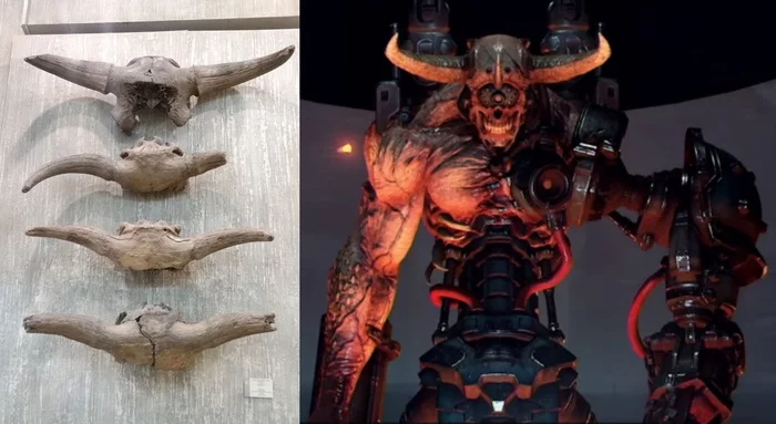 Horns over the fireplace - My, Doom, Doom eternal, Museum, Trophy, Archeology, Exhibition