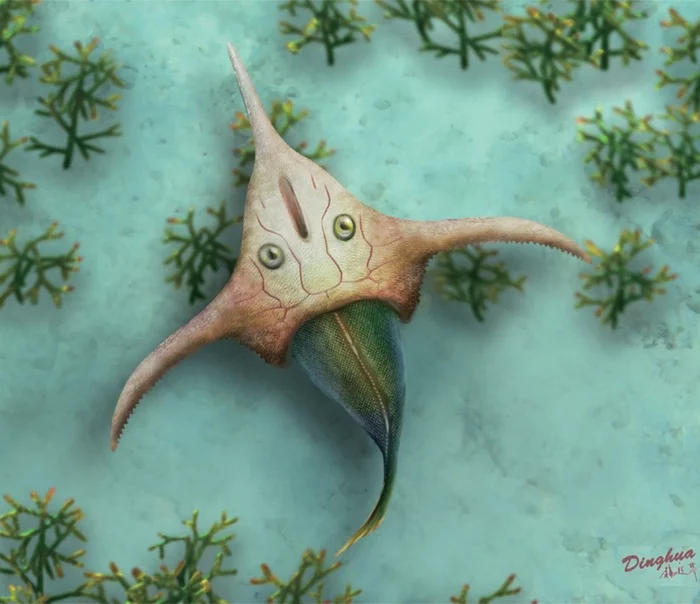 Salvador Dali fish - Paleontology, Evolution, Marine life, Biology, Elementy ru, Video, Youtube, Longpost