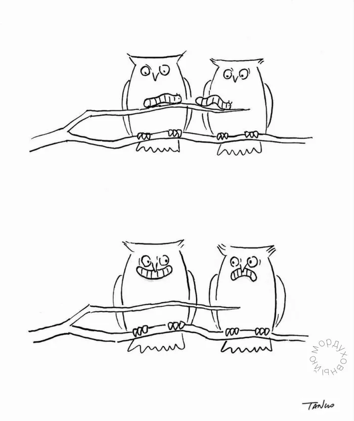 Owl - Comics, Owl, Tango