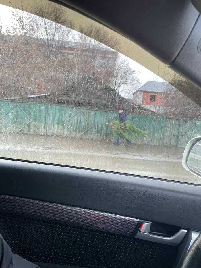 В Москве жалуются на снег... Приезжайте к нам в Саратов - Моё, Новый Год, Зима