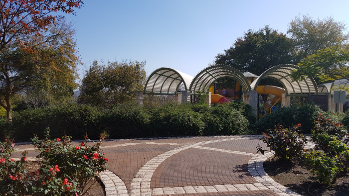 Зимний день в Израиле