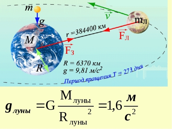 Did Chapaev drown and other pseudo-historical facts that many generations considered true - Story, Facts, Delusion, The science, Magellan, Chapaev, Newton, Longpost