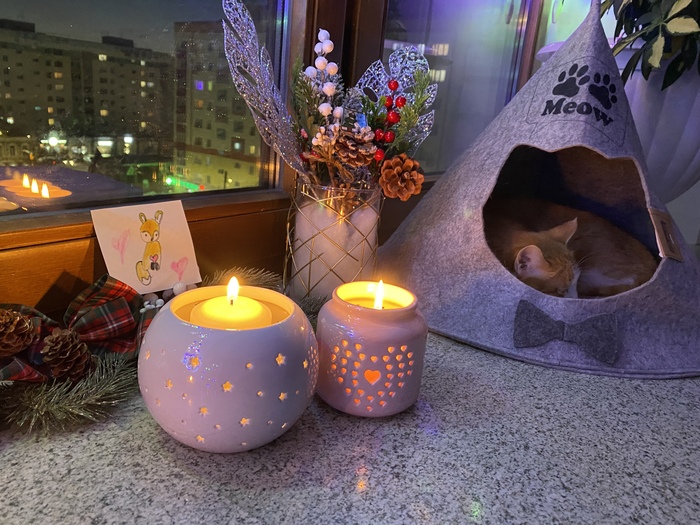 ���� ������