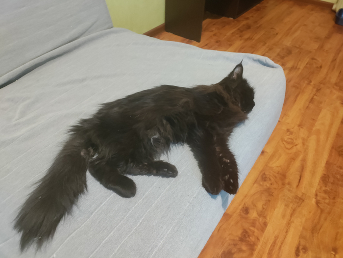 Потеряшка-тьма