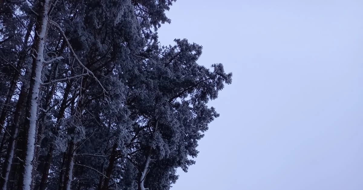 Куршская коса, Калининград | Пикабу