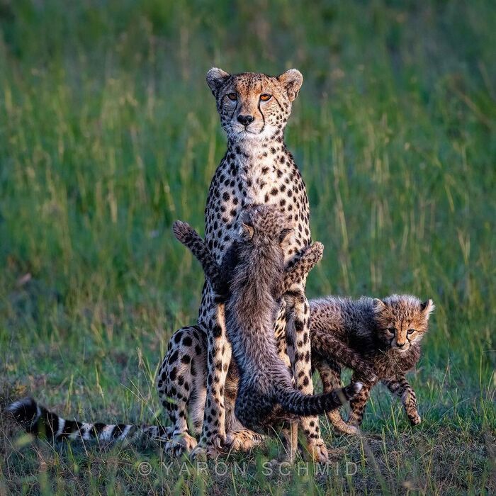 Мама, давай обнимашки!