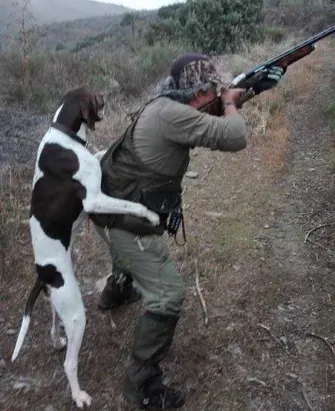 - Don't miss it! - Humor, Nature, Hunting, Dog