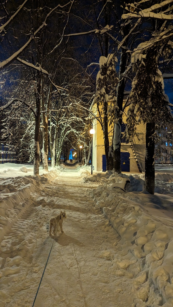 Выходили на улицу, а попали в сказку:)