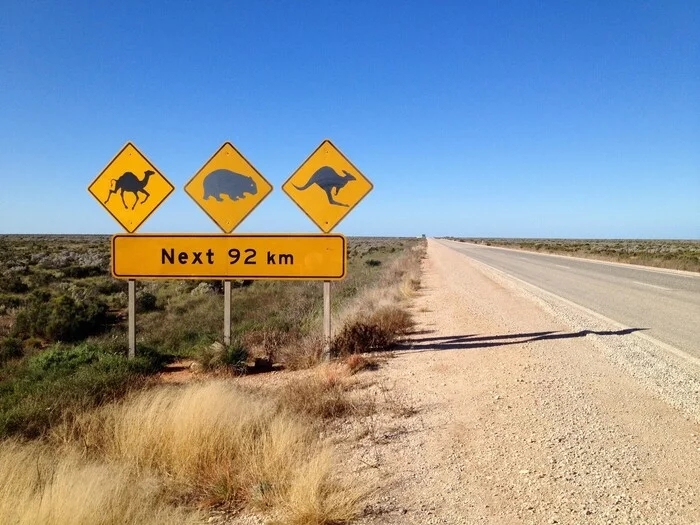 adventure road - Road, Road signs, Wild animals, Australia