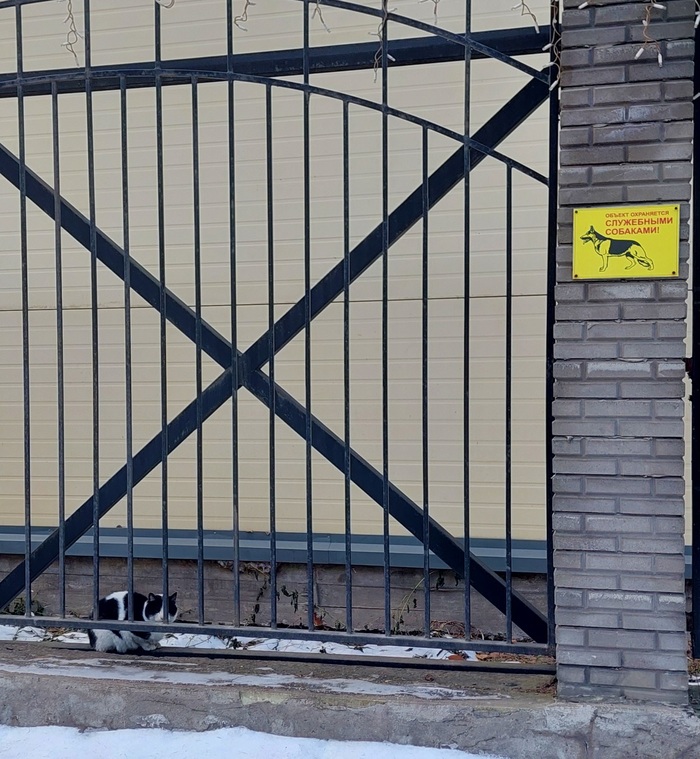 Допустим гав