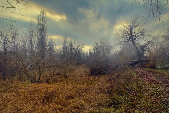 December, warm evening - My, The photo, Nature, Landscape, Winter