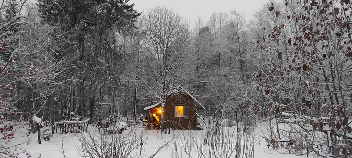 winter fairy tale - My, Mobile photography, Winter, Forest, House in the woods