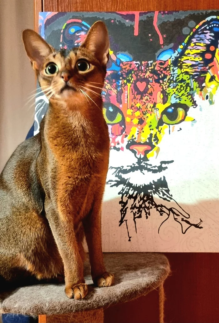 Abyssinian cat Alice - My, Abyssinian cat, Digital drawing, Milota, cat