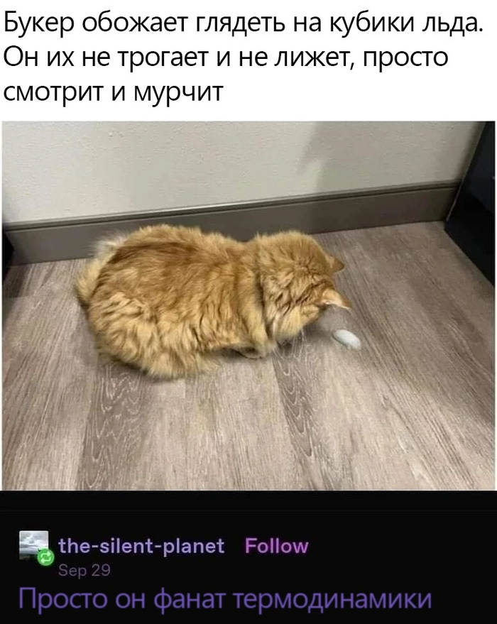 Фанат