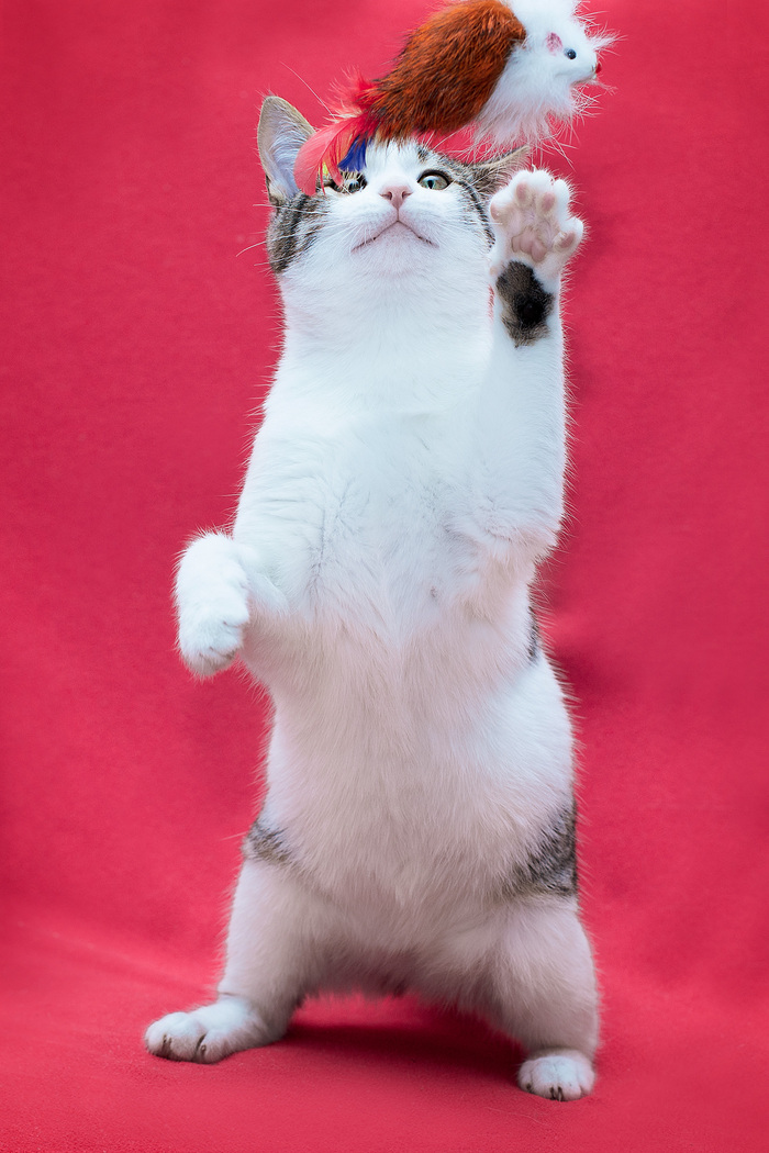          , ,  , , ,   , , ,  , , ,  ,  ,  ,  , 