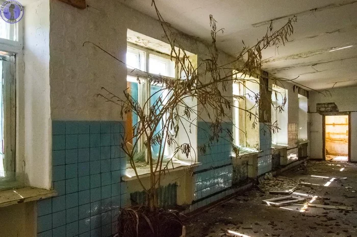 Continuation of the post They disguised themselves as pilots: Abandoned garrison of the central nuclear weapons storage base Svobodny-21 - Abandoned, Military base, Nuclear weapon, Military, the USSR, Reply to post, Longpost