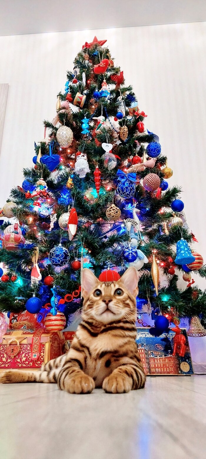 С наступающим новым годом