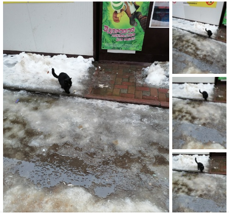 ������� �������� ����� �������� � �������� �� ���� - ����� ��� �� ����� ���