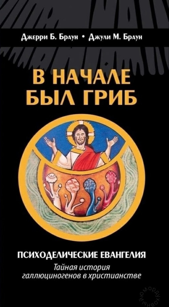 In the beginning there was a mushroom - Humor, Picture with text, Books, Cover, Religion