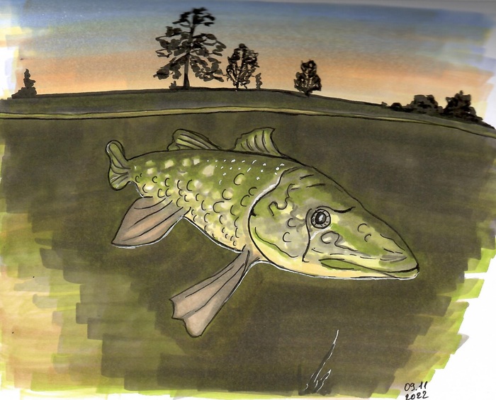 Большой рыб-с-с-с