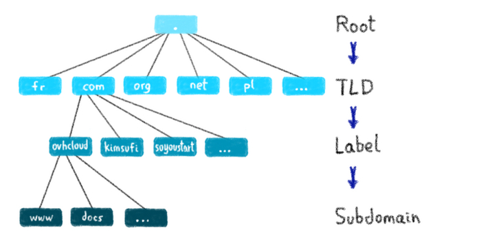 35  DNS,    Timeweb, DNS,  IT, Apple, IBM, Arpanet, IP, , Microsoft, Google, IT, , , 