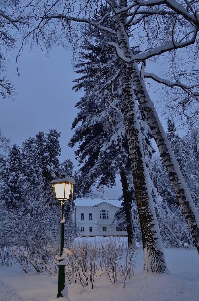 Ясная поляна | Пикабу